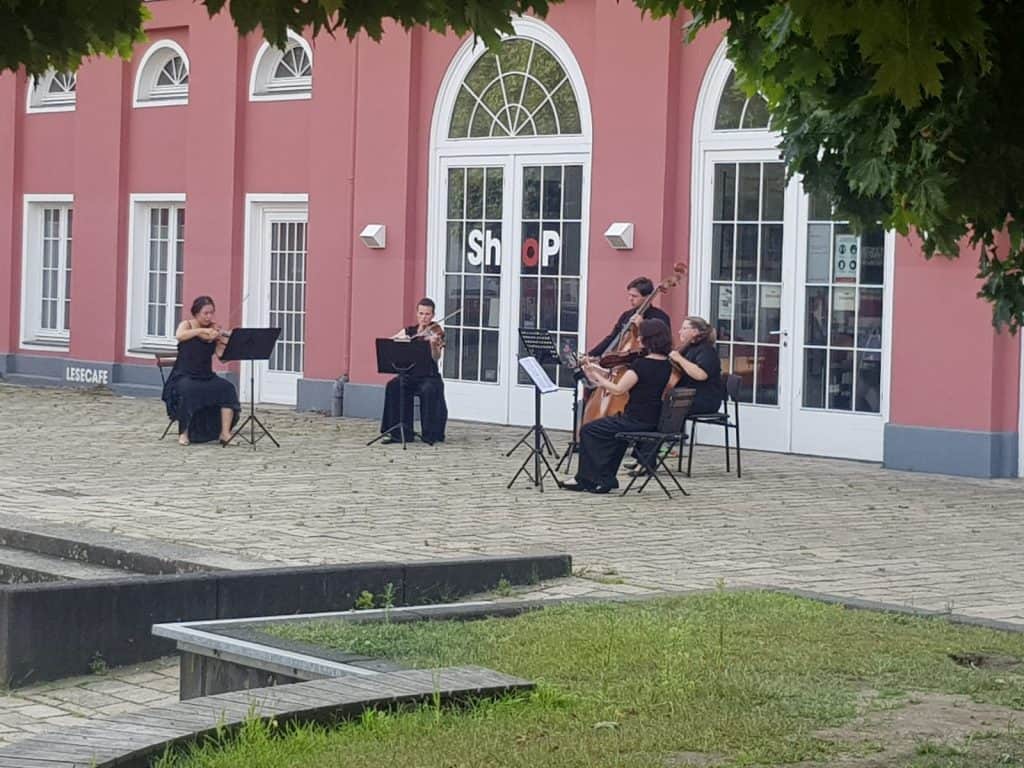Serenade