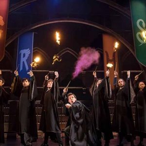 harry-potter-matthew-murphy
