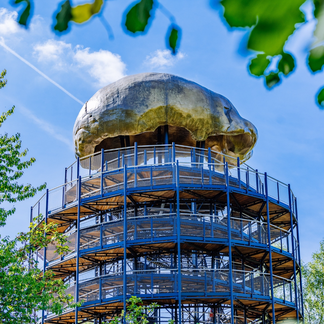 Erlebnisturm Höhlenblick